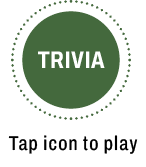 Trvia open
