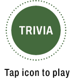 Trvia open