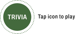Trvia open